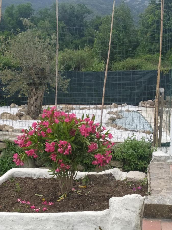 Ferienwohnung Bilocale La Tezia Marciana Marina  Exterior foto